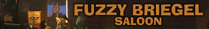 Fuzzy Briegel Saloon